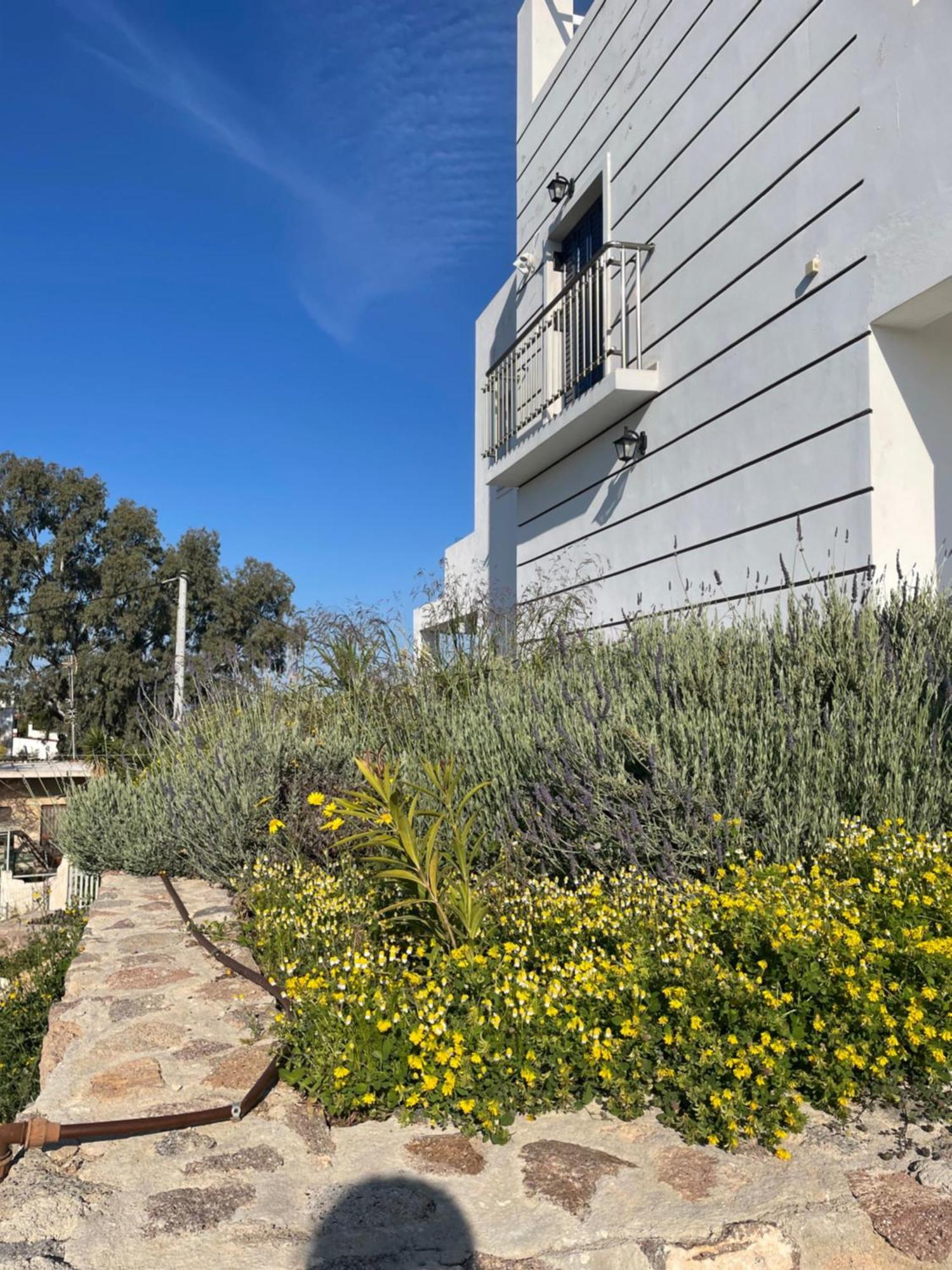 Souvala /Aegina. Excellent Location Luxury Villa. Vathí المظهر الخارجي الصورة
